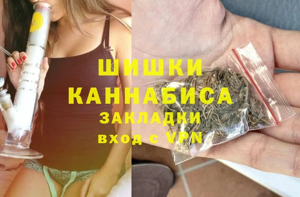 хмурый Абаза