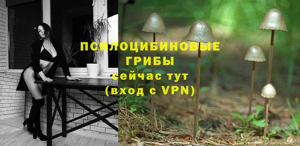 хмурый Абаза